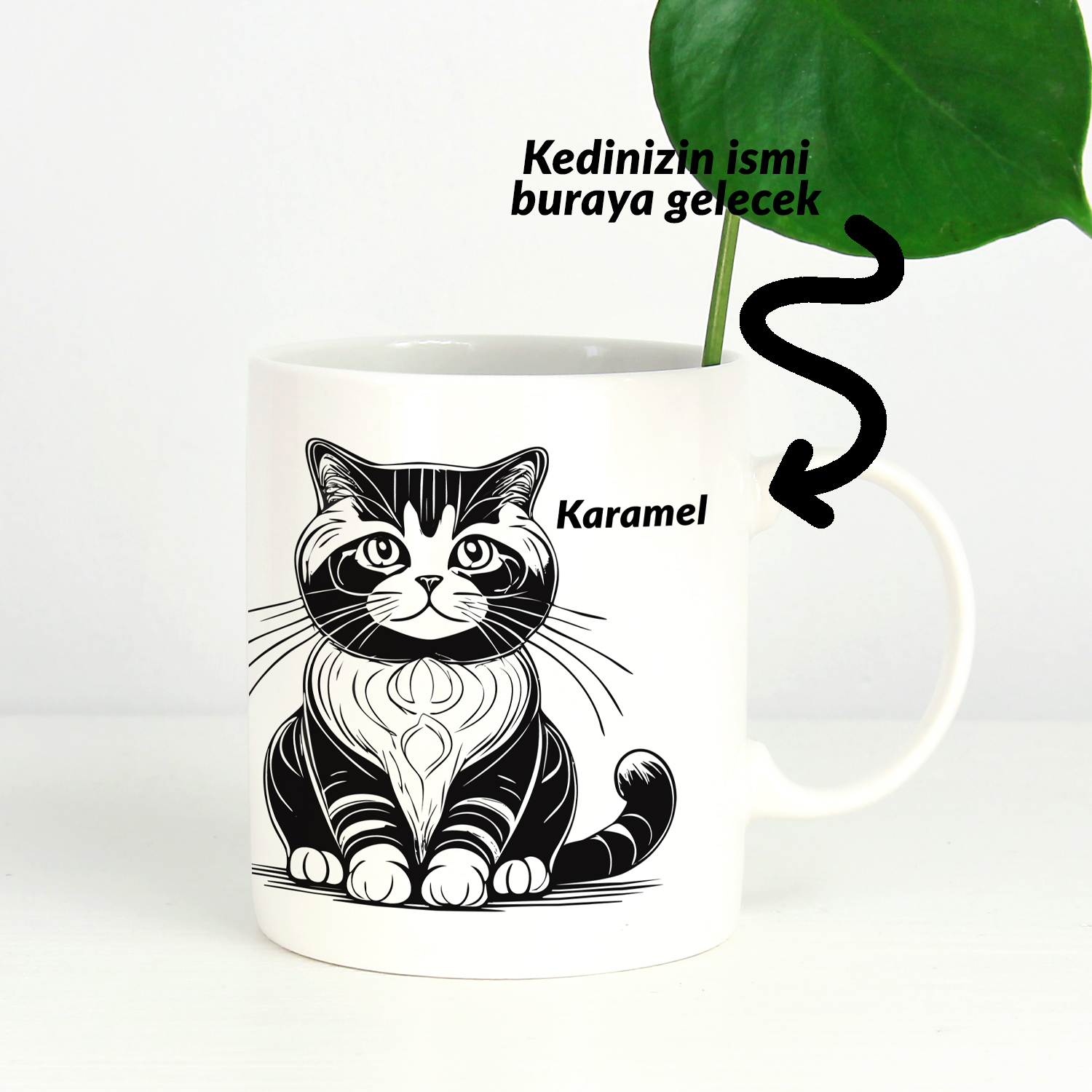 Kedi Severlere Seramik Kupa: Scottish Fold Harikası